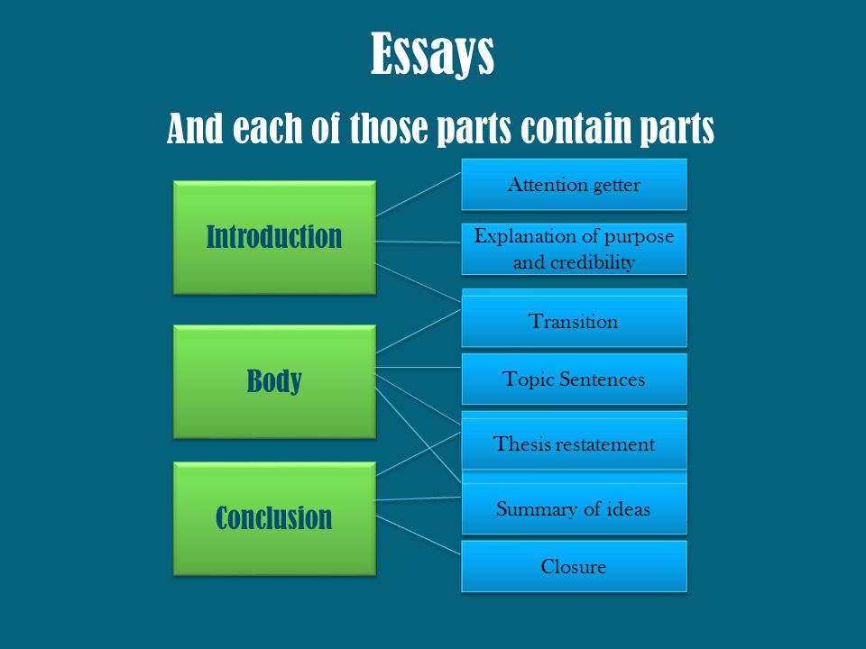 What are expository essays?